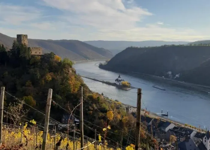 Am Rheinsteig * Kaub