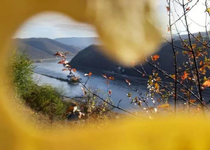 Am Rheinsteig Nyaraló Kaub